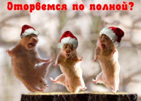 прикольные новогодние хомячки